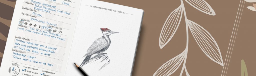 Banner with interior pages of the bird watching logbook